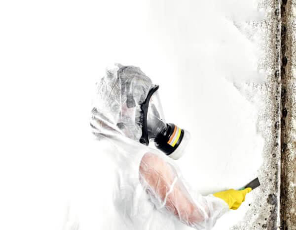 Mold Remediation